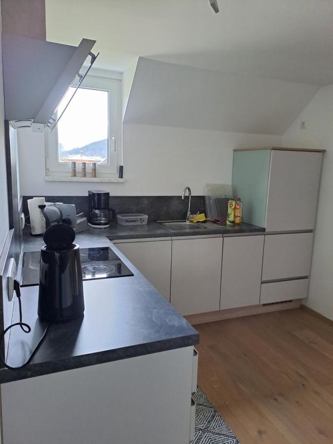 גוסאו Ferienwohnung Schmaranzer מראה חיצוני תמונה